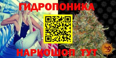 ГАЛЛЮЦИНОГЕННЫЕ ГРИБЫ Ипатово
