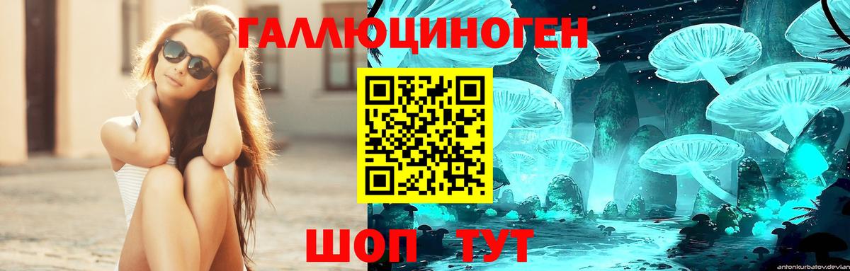 Воткинск  Псилоцибиновые грибы MAGIC MUSHROOMS  Вход с VPN 